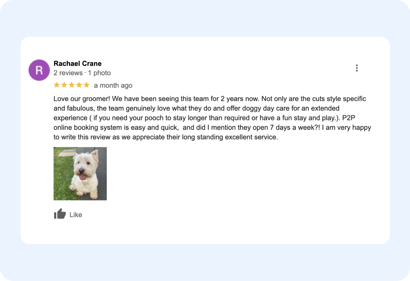google review